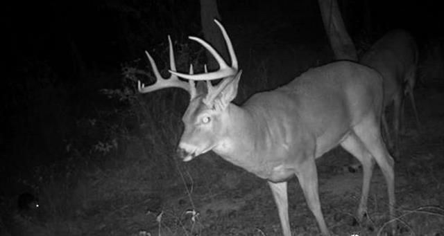 W 600 Rd, Blue Mound, KS 66010