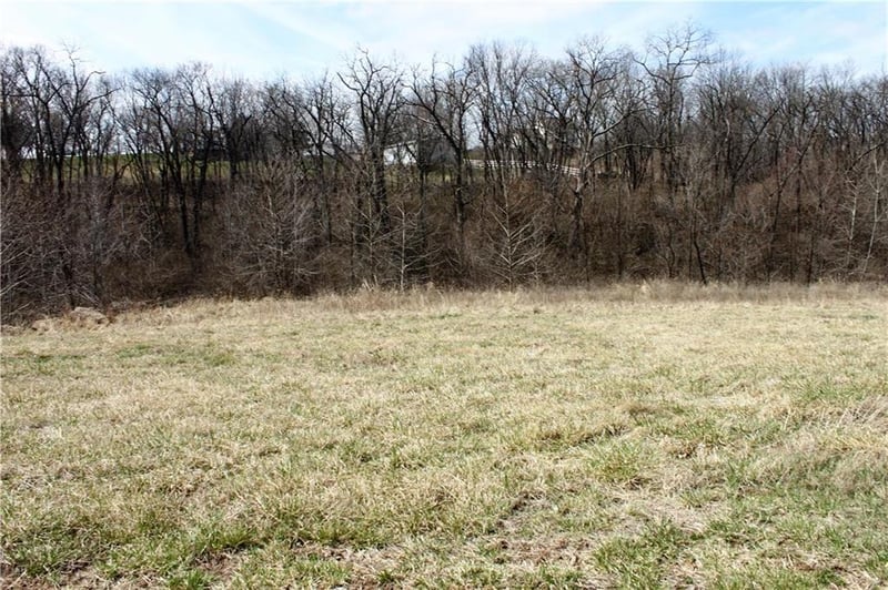10000 N Cypress Ave #LT 9, Kansas City, MO 64156