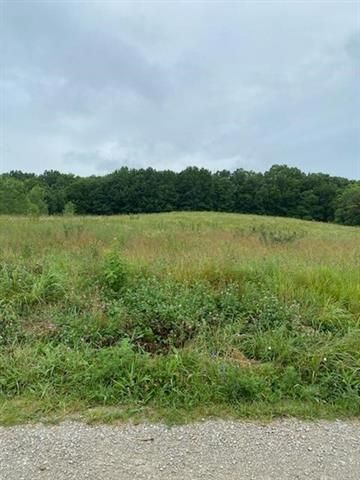 Saddle Dr, Excelsior Springs, MO 64024
