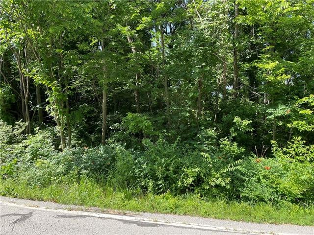1 O St, Lake Lotawana, MO 64086