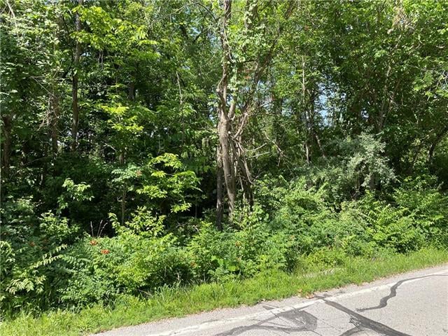 1 O St, Lake Lotawana, MO 64086