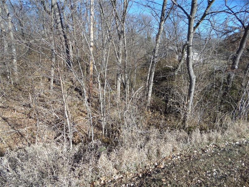 29618 D Hw, Lawson, MO 64062