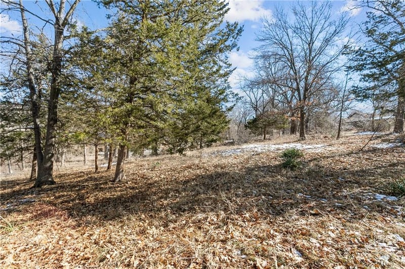 92nd Ter, Kansas City, MO 64153