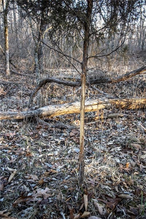 375 NE 300 Rd, Osceola, MO 64776