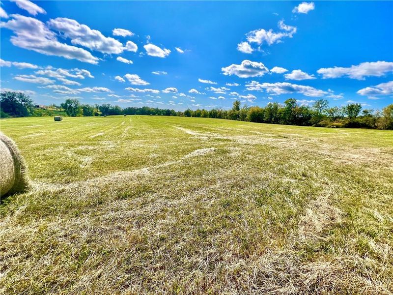 Concord St, Mercer, MO 64661