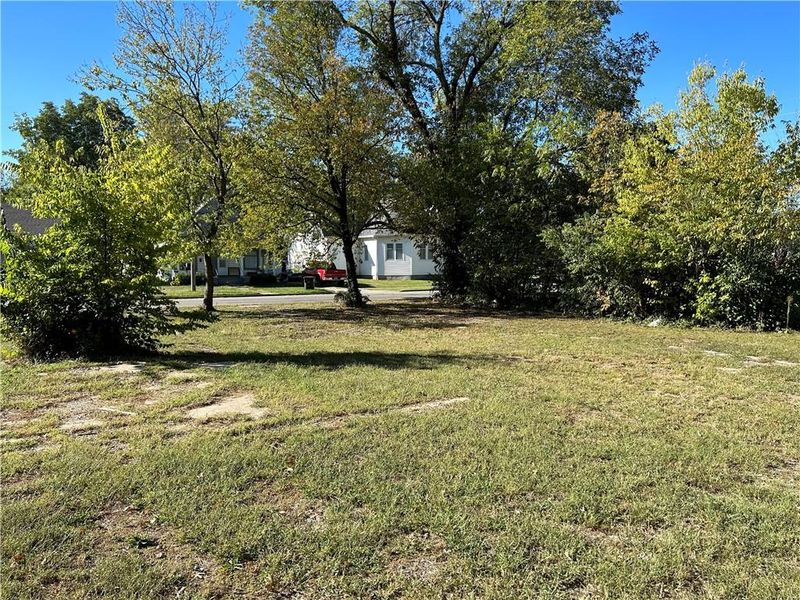 511 E Allison St, Nevada, MO 64772