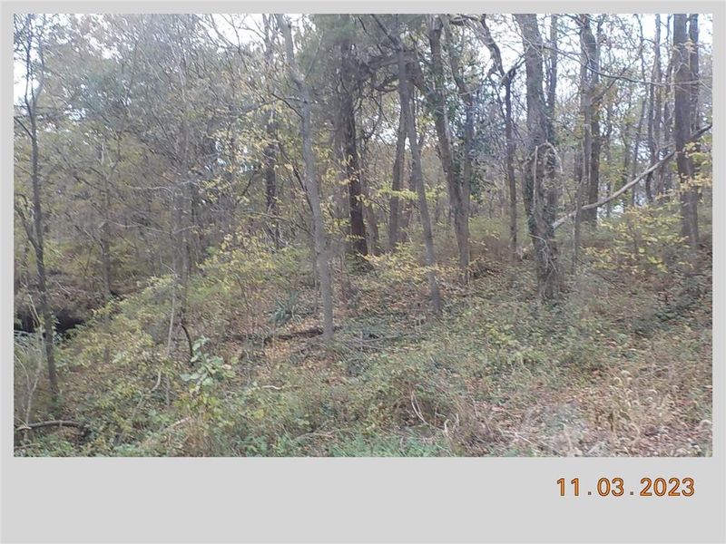 516 N Water St, Warrensburg, MO 64093
