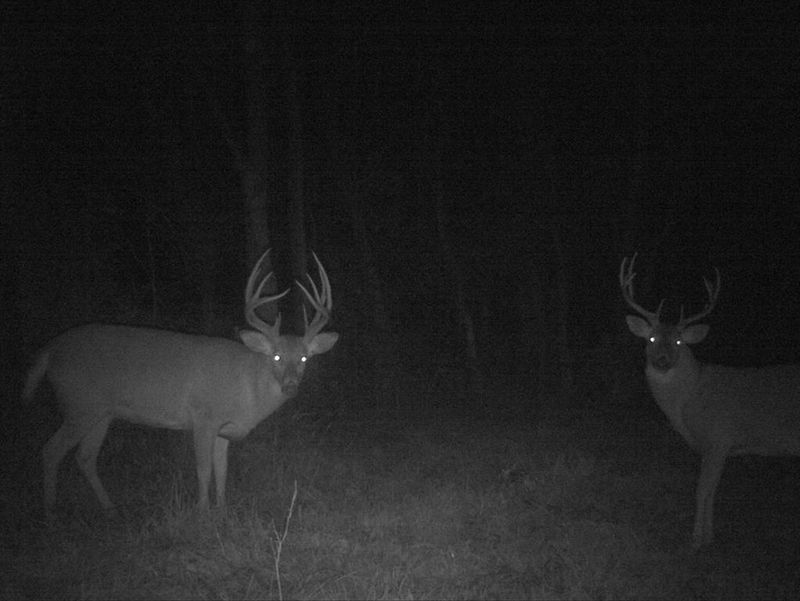 0 50th Rd, Rose, KS 66839
