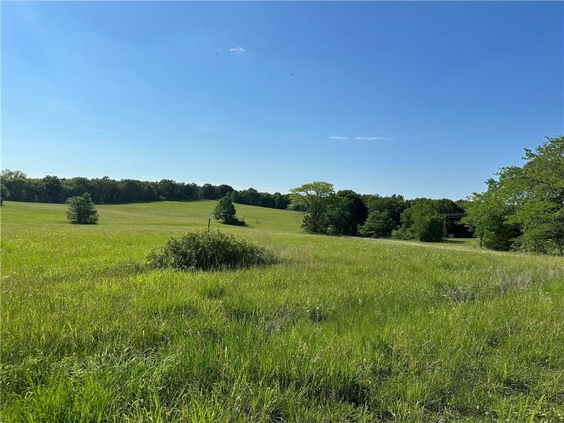 Off Bond Pl, Edwards, MO 65326