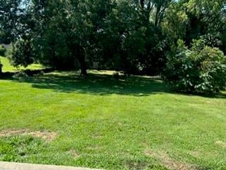 4124 S Minnie St, Kansas City, KS 66103