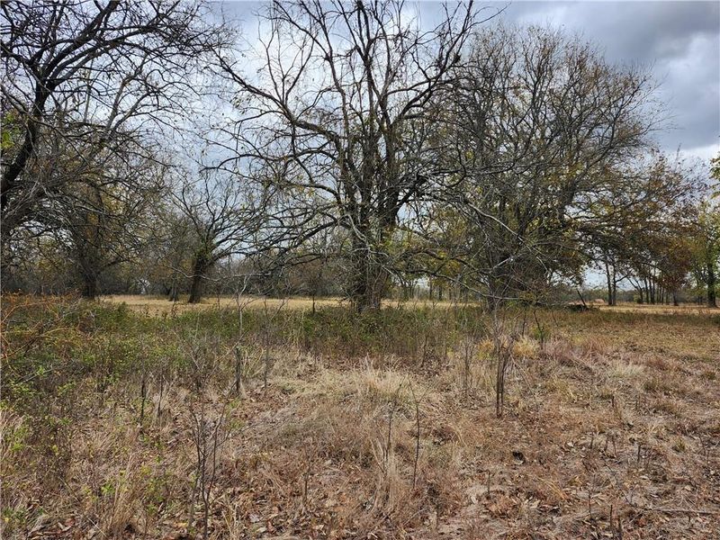 Pawnee Rd, Fort Scott, KS 66701