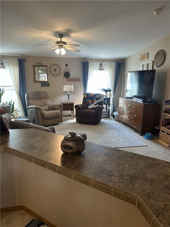 315 E Warren St, Williamsburg, KS 66095
