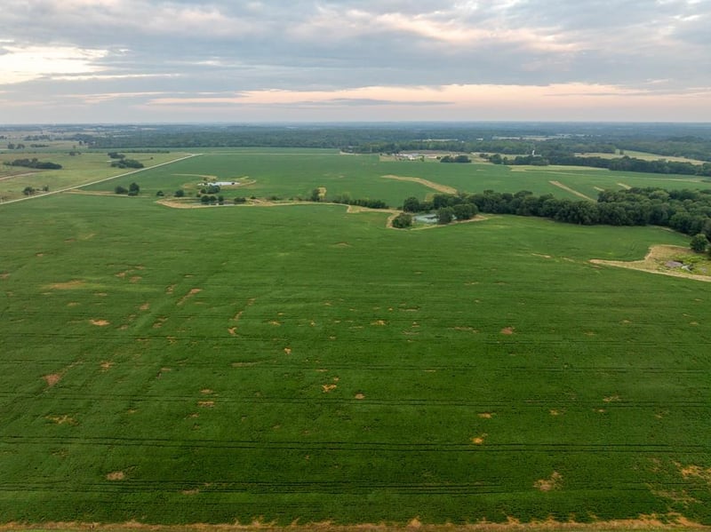 SW 600 Rd, Montrose, MO 64770