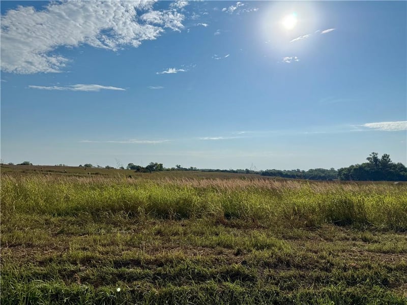 Lot 3 238th St, Tonganoxie, KS 66086