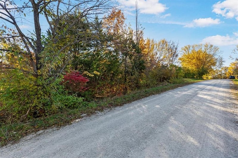 Wolfe St, Excelsior Springs, MO 64024