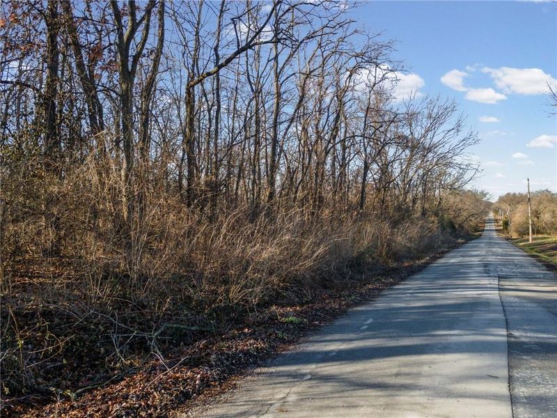 NE Lot E Pine St, Butler, MO 64730