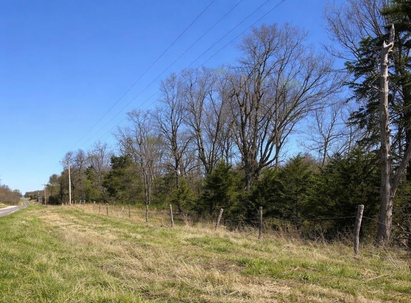 E Hwy Hw, Green Ridge, MO 65332