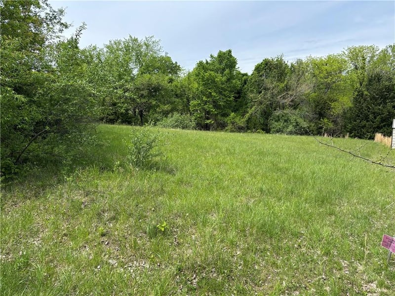 Lot 2328 Oar Rd, Gallatin, MO 64640
