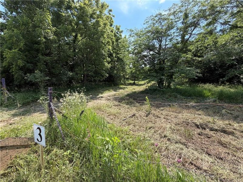 S Gibbons Lot 3 Rd, Pleasant Hill, MO 64080