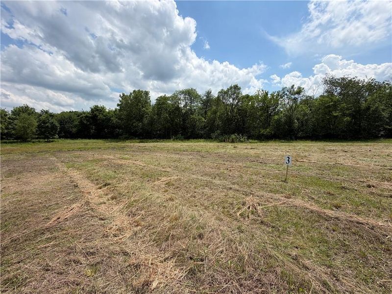 S Gibbons Lot 3 Rd, Pleasant Hill, MO 64080