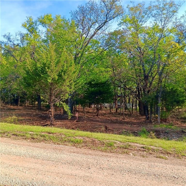 89 and 93 Kansas Dr, Linn Valley, KS 66040