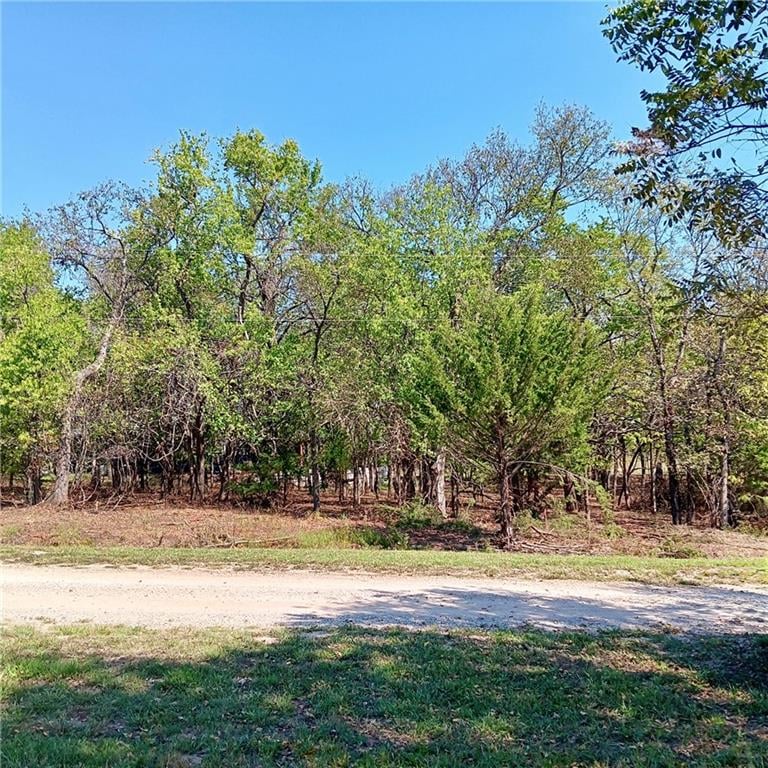 89 and 93 Kansas Dr, Linn Valley, KS 66040