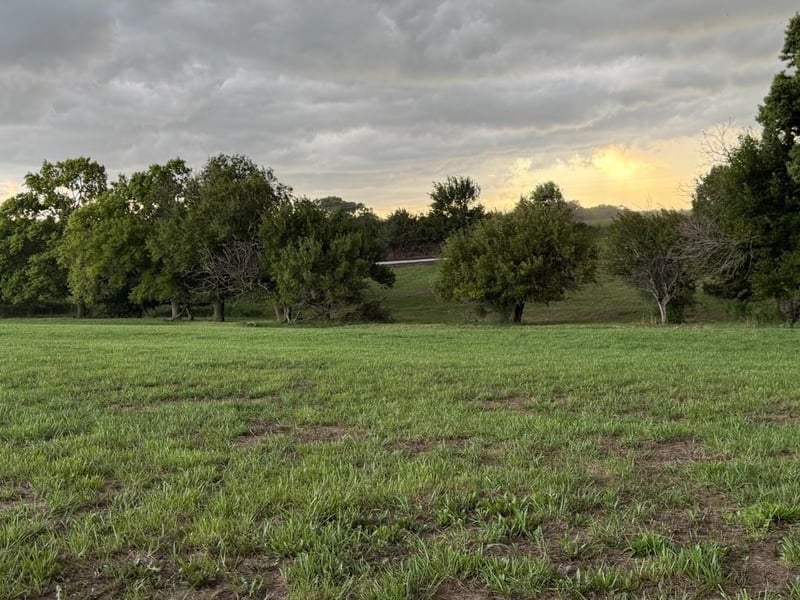 Lot 4 B Hw, Ridgely, MO 64444