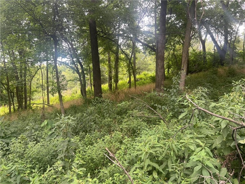11806 E Lexington Ave, Sugar Creek, MO 64054