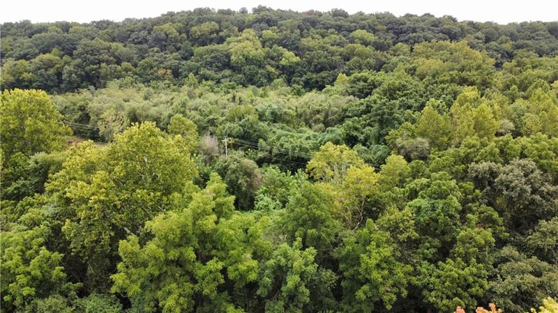 14255 Highway Y Hw, Excelsior Springs, MO 64024