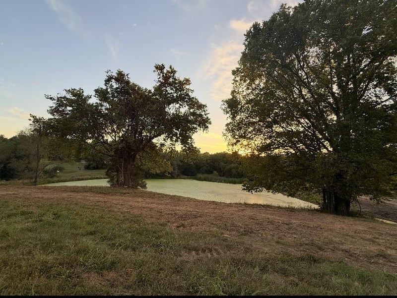 1551 NE Woods Chapel Rd, Lee's Summit, MO 64064