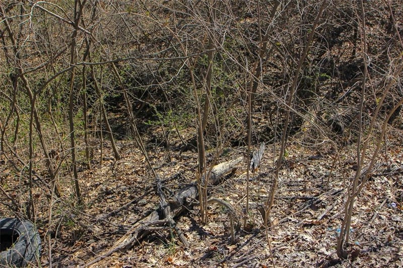 N Dometrorch Rd, Rocheport, MO 65279