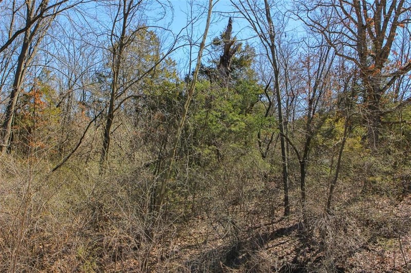 N Dometrorch Rd, Rocheport, MO 65279