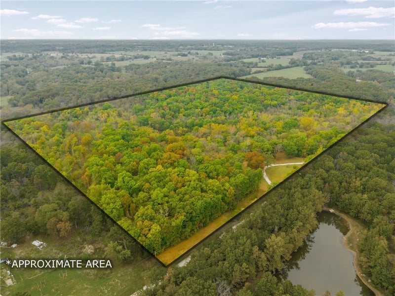 471 SE 1131 Rd, Clinton, MO 64735