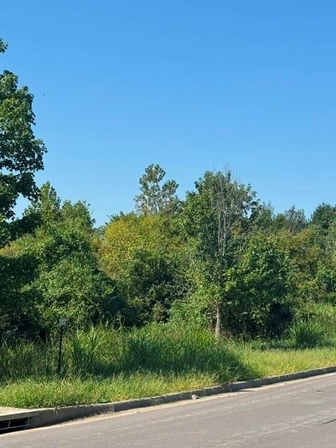 Brookside Dr, Blue Springs, MO 64015