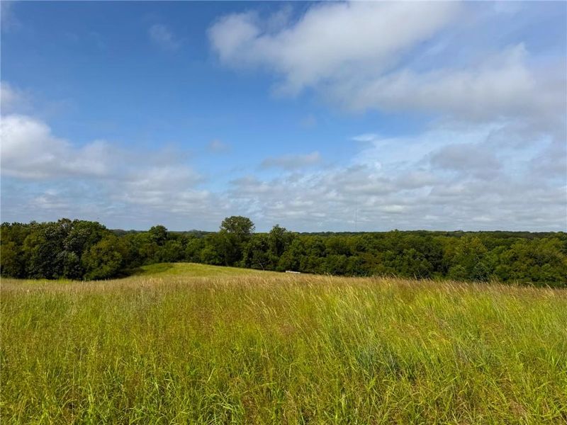 17840 Golden Rd, Linwood, KS 66052