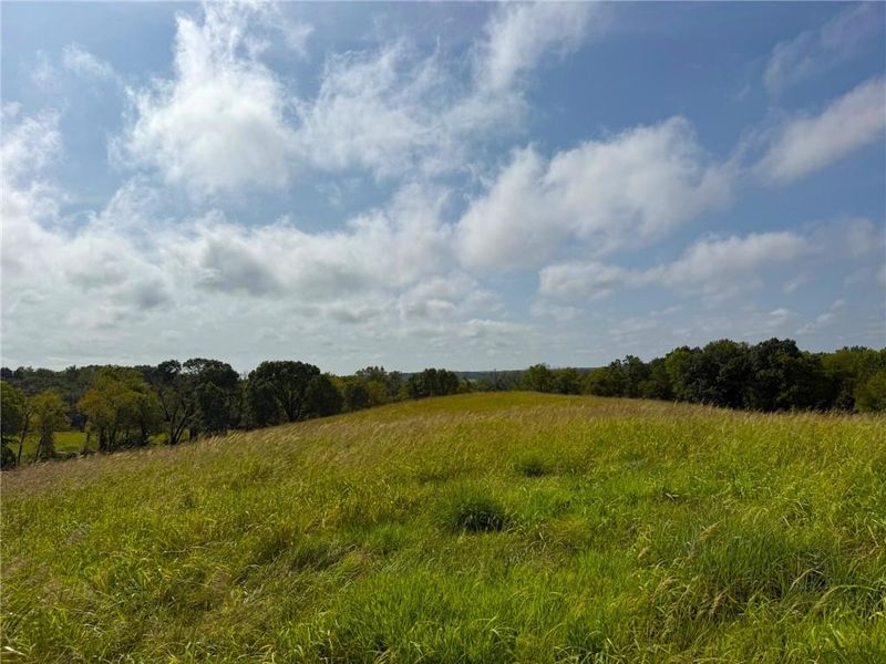 17840 Golden Rd, Linwood, KS 66052