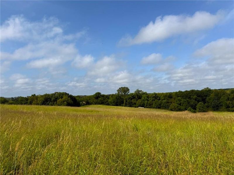 17840 Golden Rd, Linwood, KS 66052