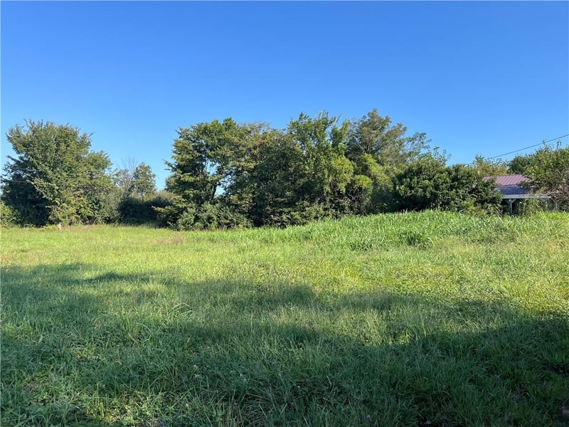 1143 NW 250th Rd, Holden, MO 64040