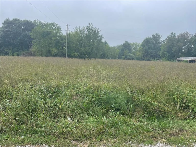 00001 Ramona Dr, Odessa, MO 64076