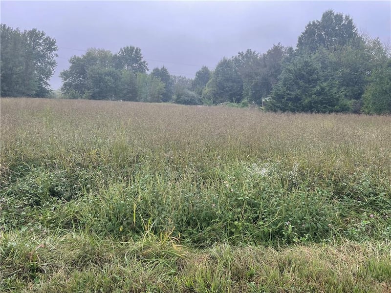 00002 Ramona Dr, Odessa, MO 64076