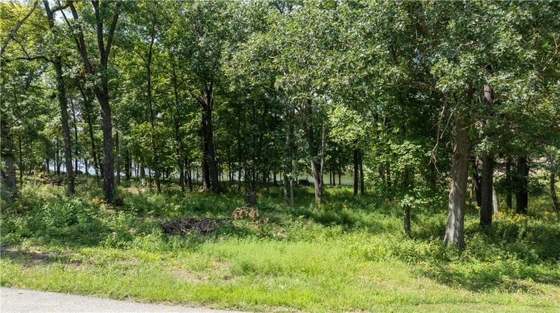 1040 S Fork Ln, Tipton, MO 65081
