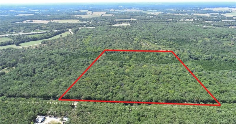 000 SE 871 Rd, Collins, MO 64738