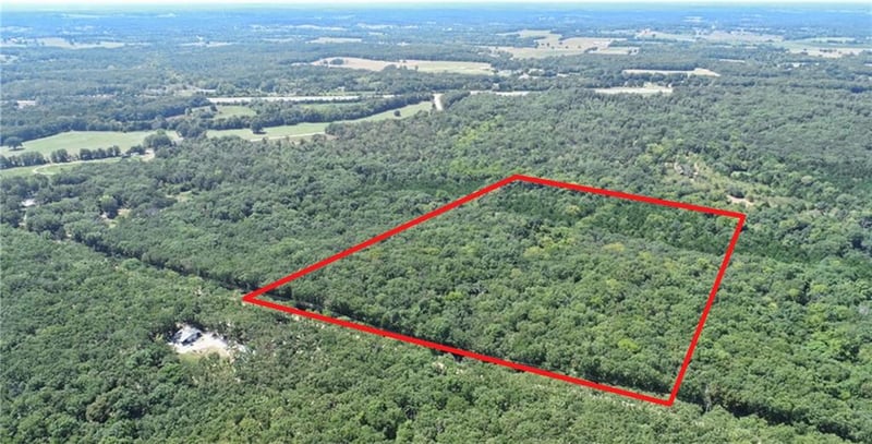 000 SE 871 Rd, Collins, MO 64738