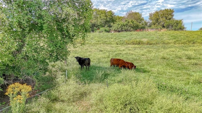 NW 1801st Rd, Kingsville, MO 64061