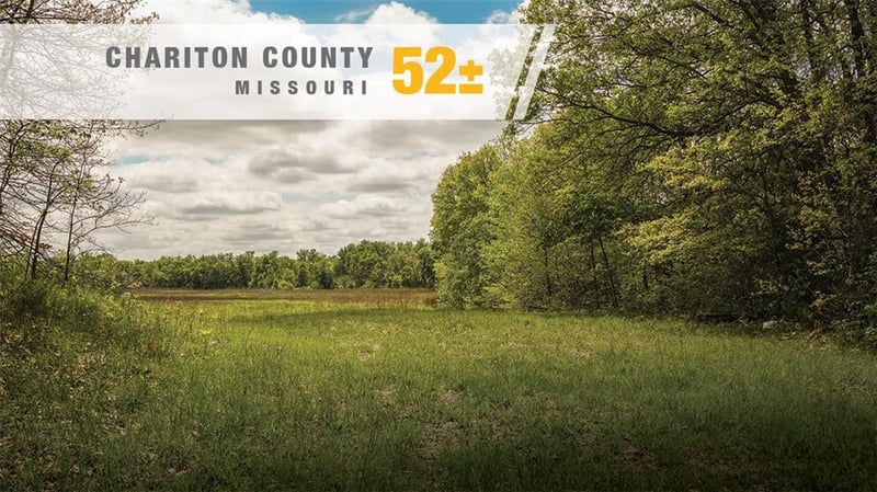 Knox Rd, Marceline, MO 64658