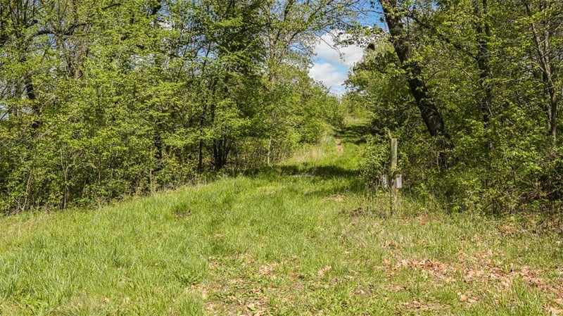 Knox Rd, Marceline, MO 64658