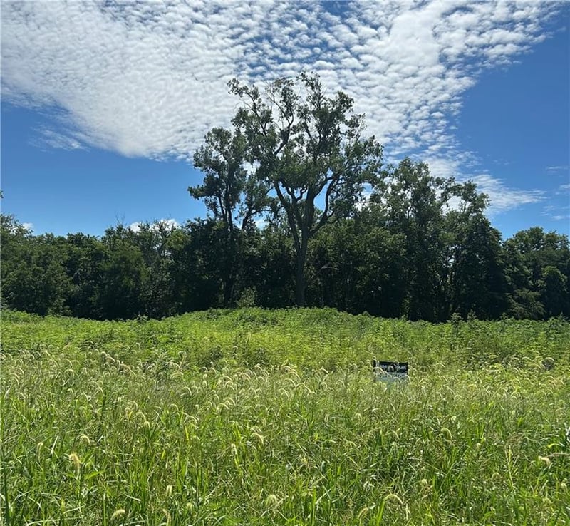 Lot 4 Hope Ln, Odessa, MO 64076