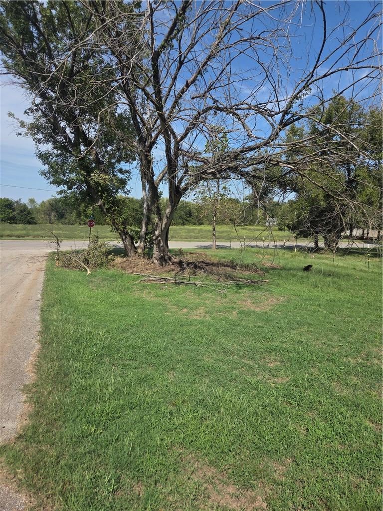 Alfred St, Mulberry, KS 66756