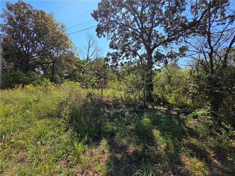 000 E Abbott Rd, Schell City, MO 64783