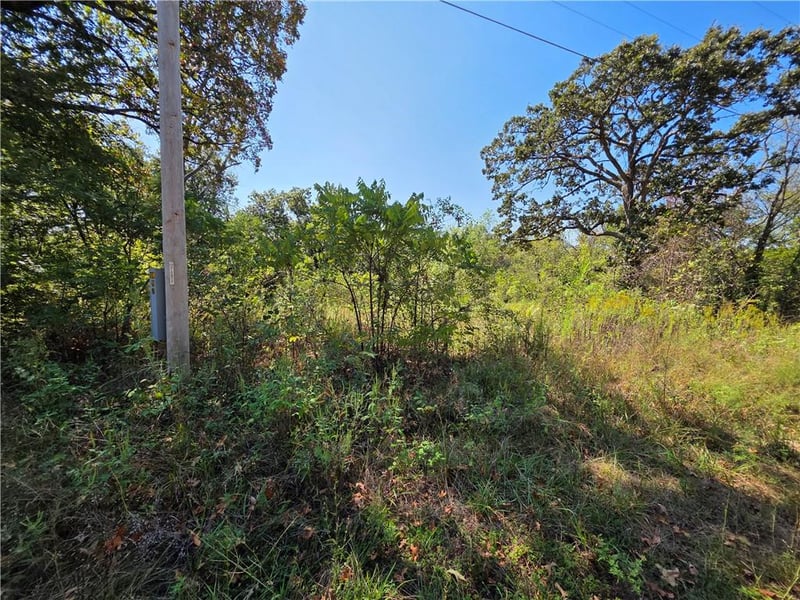000 E Abbott Rd, Schell City, MO 64783